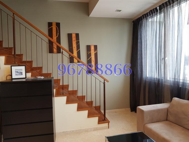 The Cotz (D15), Apartment #168229352